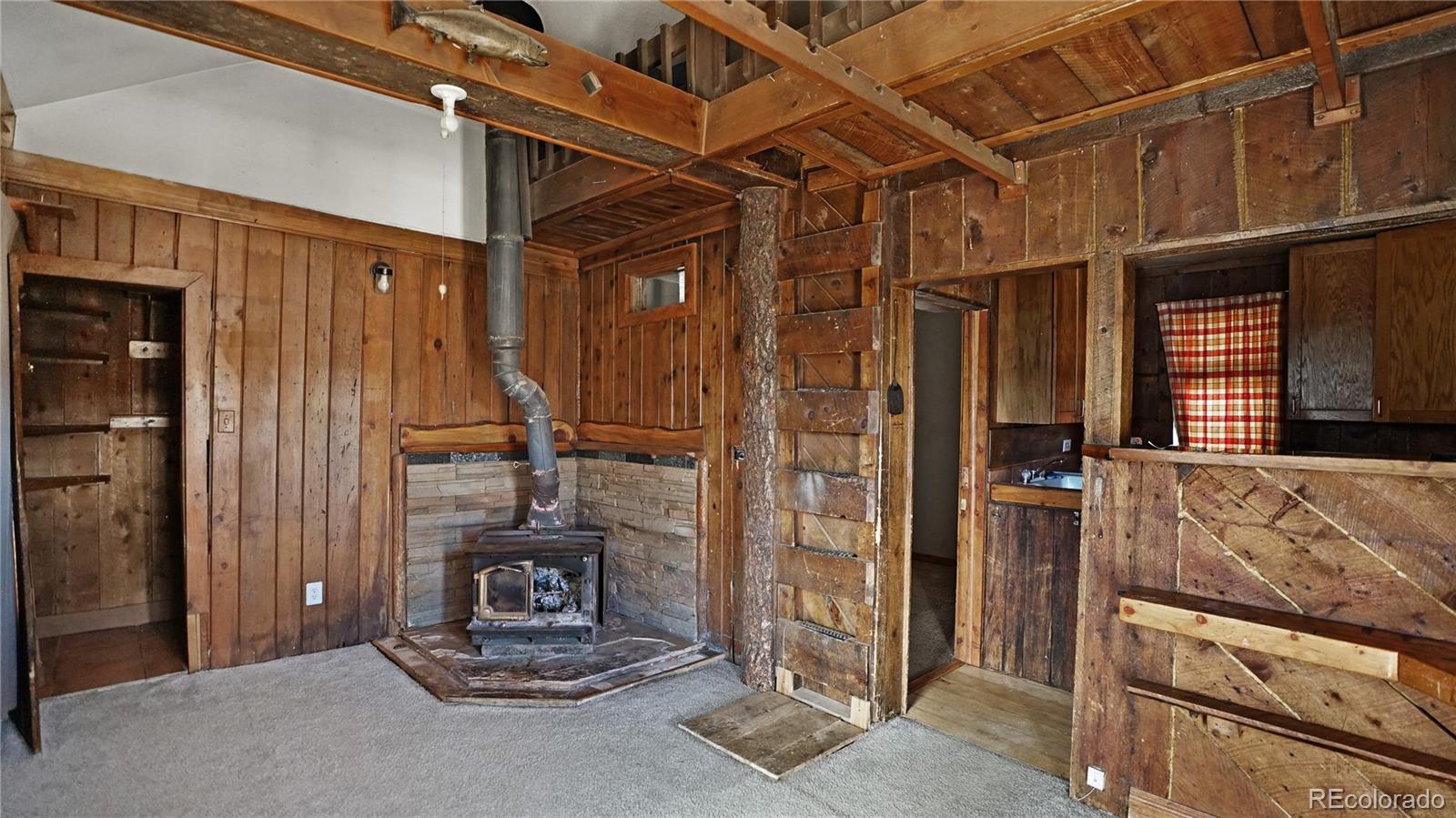 MLS Image #2 for 2275  shelton drive,bailey, Colorado