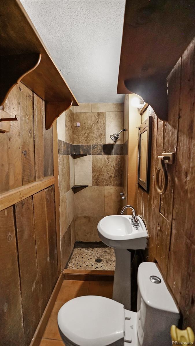 MLS Image #3 for 2275  shelton drive,bailey, Colorado