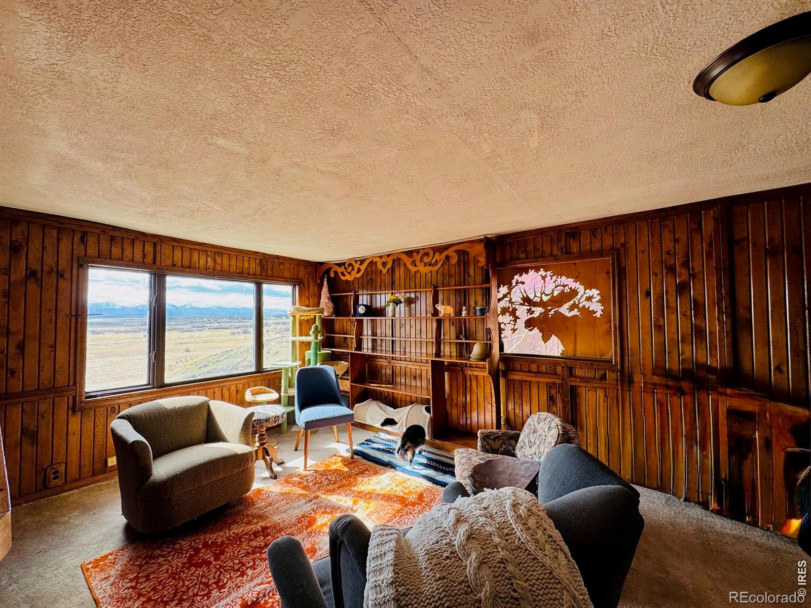 MLS Image #6 for 417  grant street,walden, Colorado