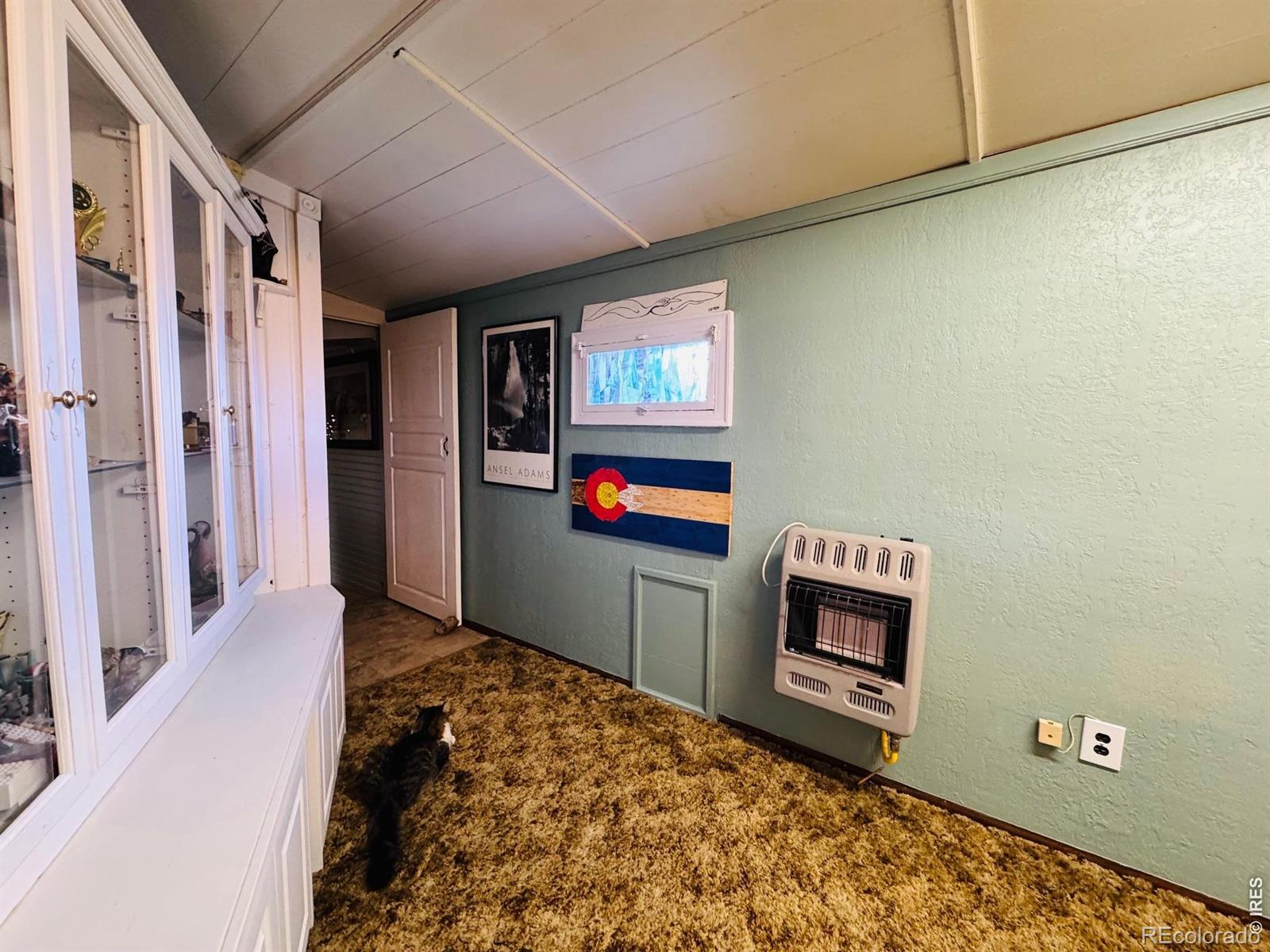 MLS Image #8 for 417  grant street,walden, Colorado