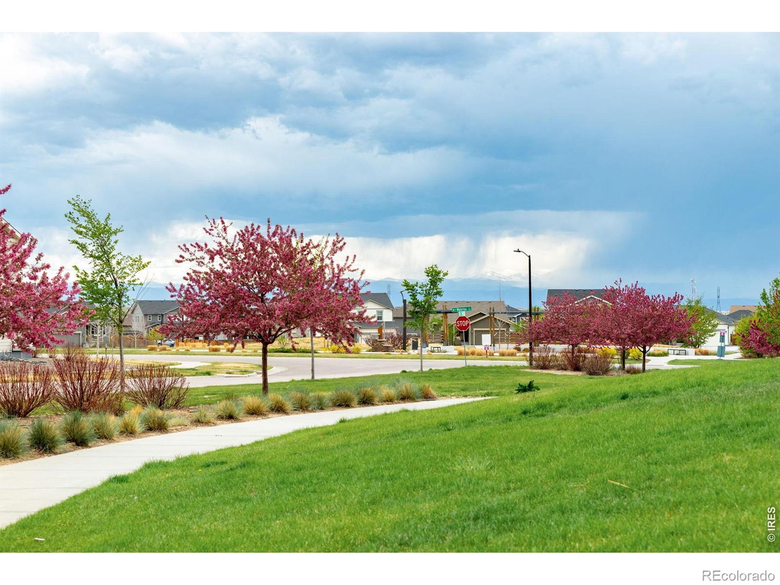 MLS Image #48 for 27890 e 7th place,aurora, Colorado