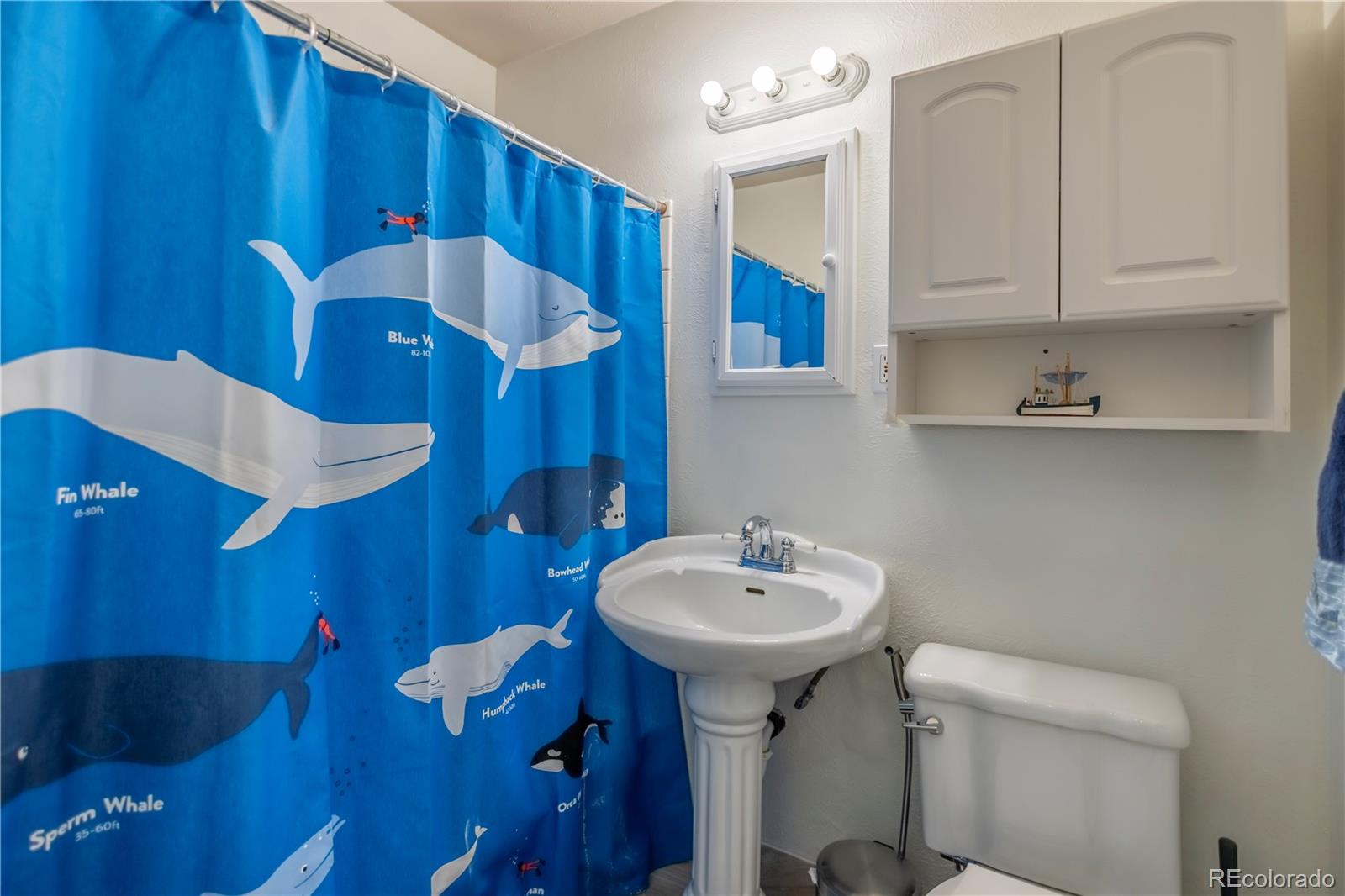 MLS Image #21 for 231  hudson street,denver, Colorado