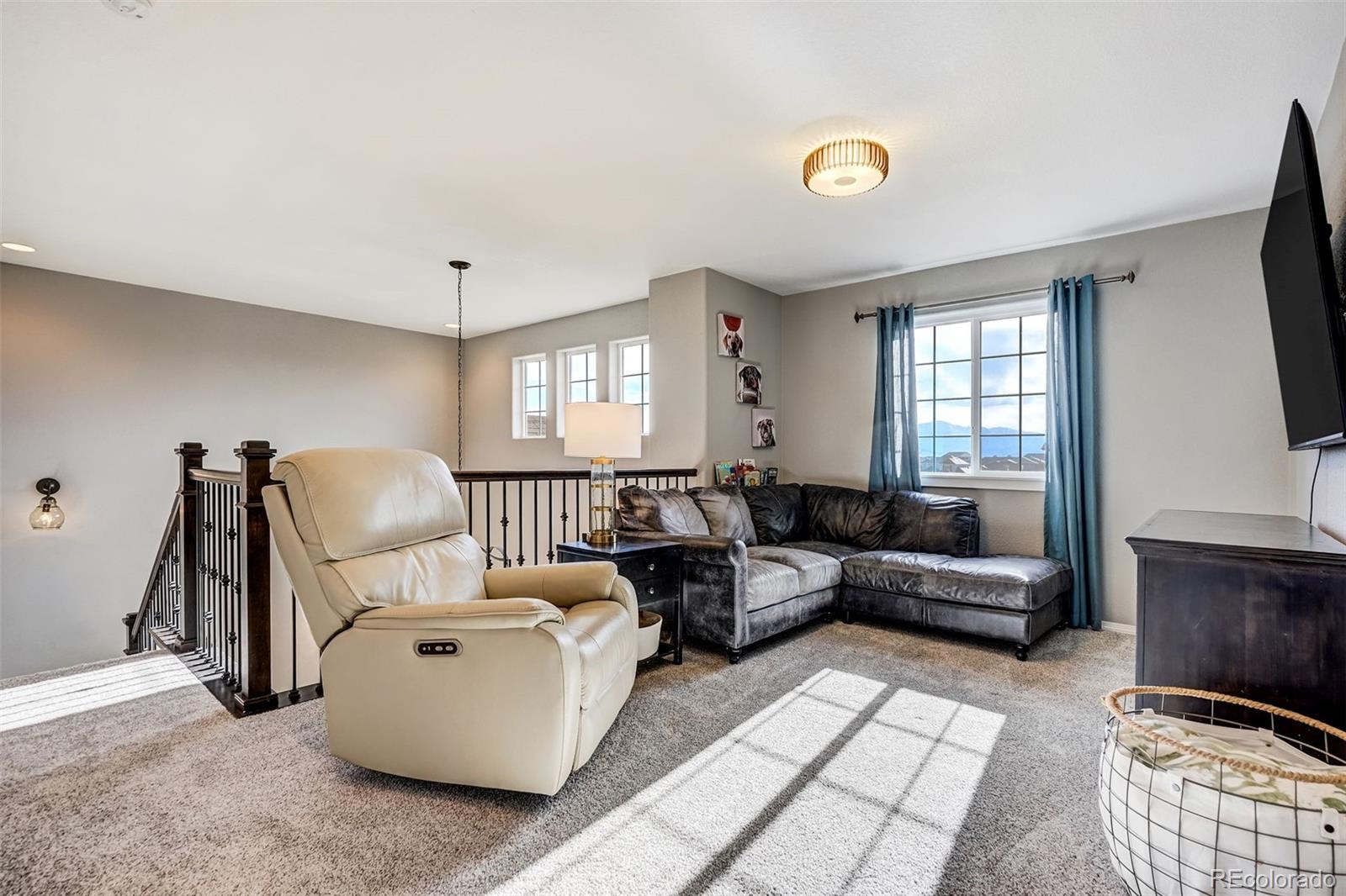 MLS Image #19 for 7248  jagged rock circle,colorado springs, Colorado