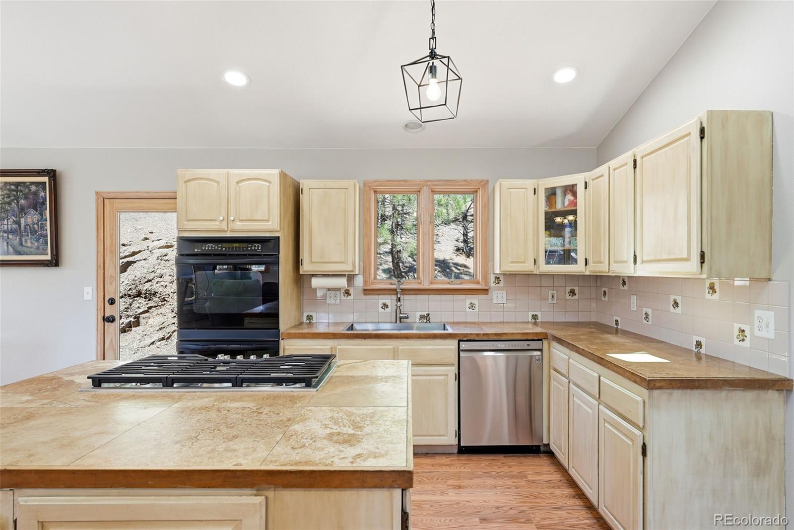 MLS Image #20 for 16687  ouray road,pine, Colorado