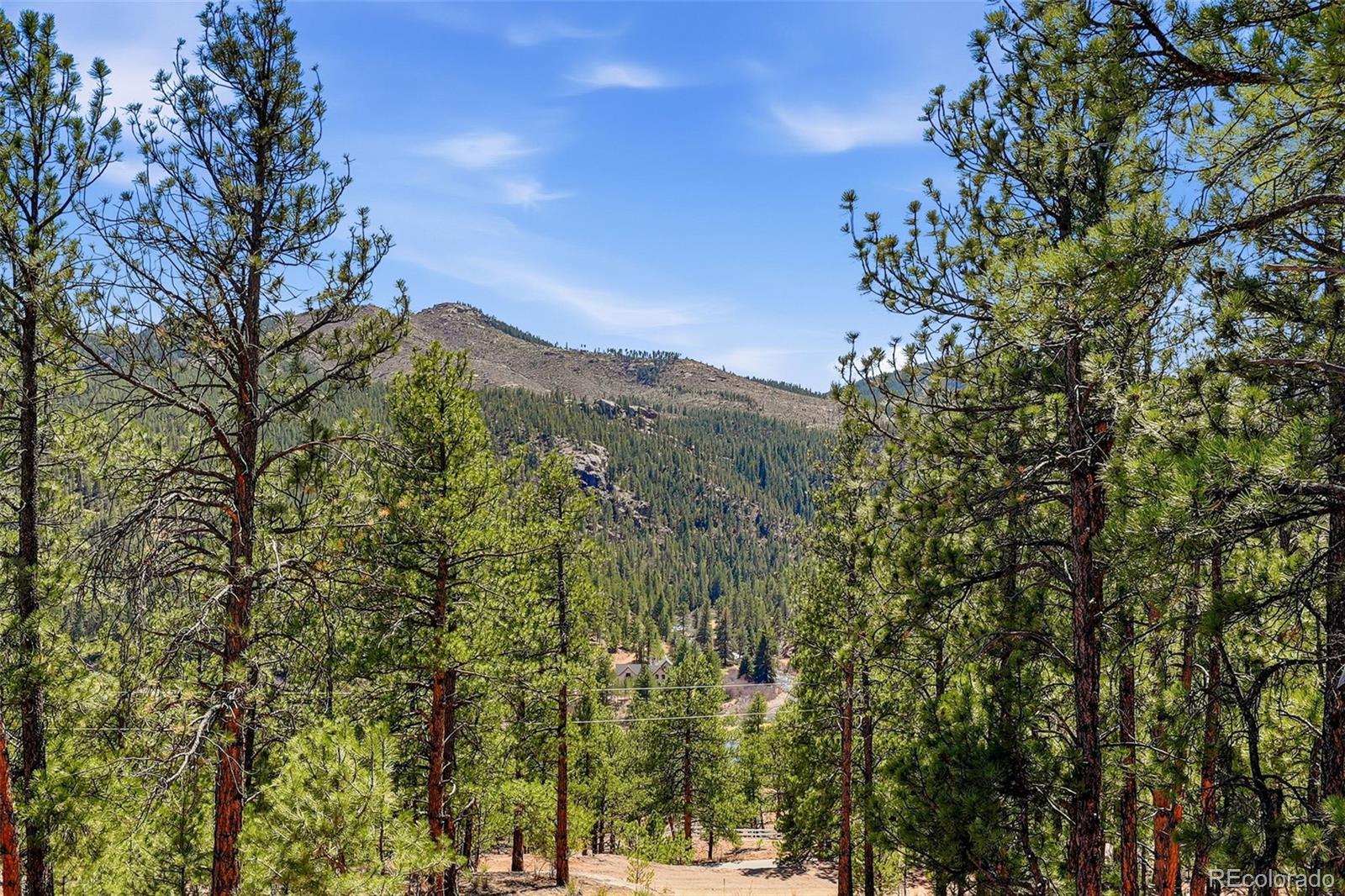MLS Image #4 for 16687  ouray road,pine, Colorado