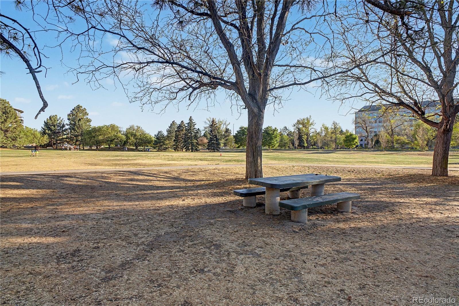 MLS Image #34 for 8 s colorado boulevard,denver, Colorado