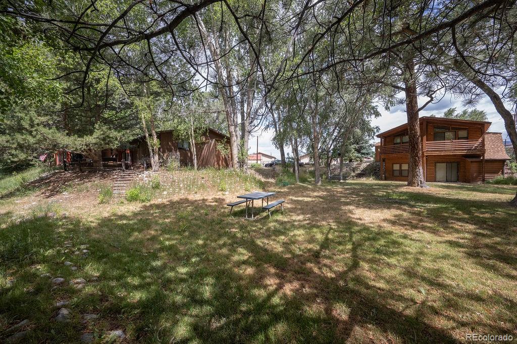 MLS Image #10 for 121  brookdale ,buena vista, Colorado