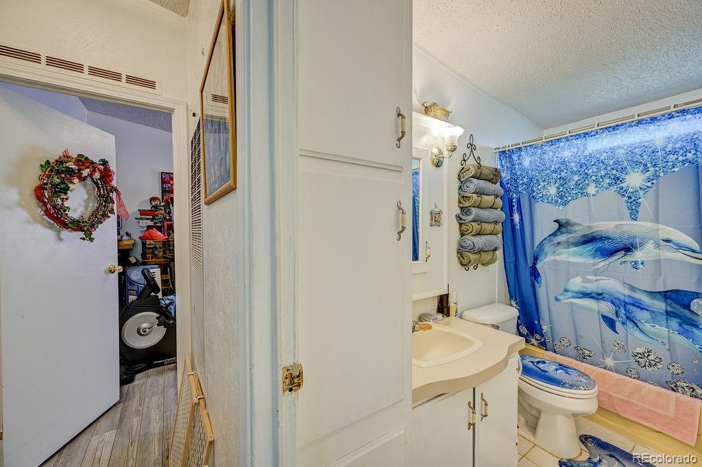 MLS Image #16 for 121  brookdale ,buena vista, Colorado