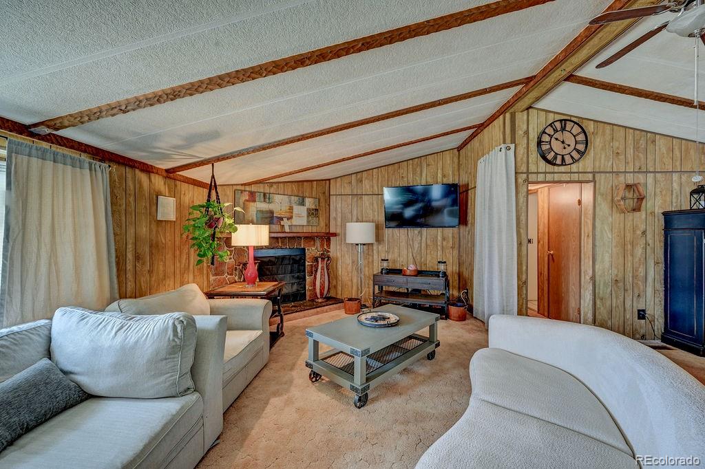 MLS Image #2 for 121  brookdale ,buena vista, Colorado