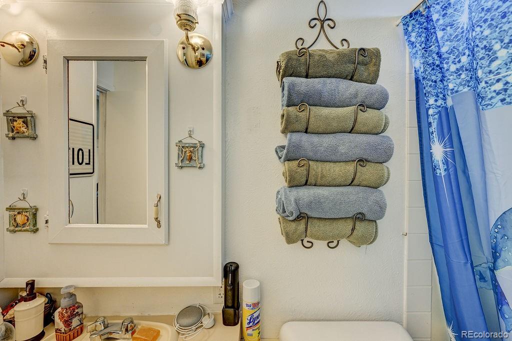 MLS Image #24 for 121  brookdale ,buena vista, Colorado