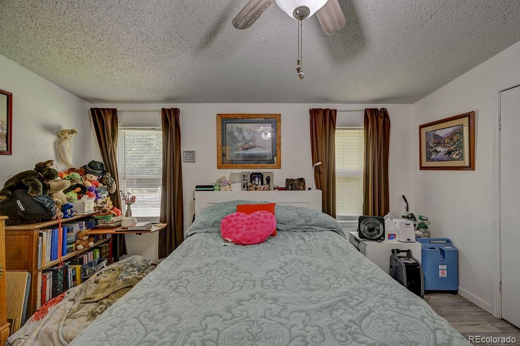 MLS Image #34 for 121  brookdale ,buena vista, Colorado