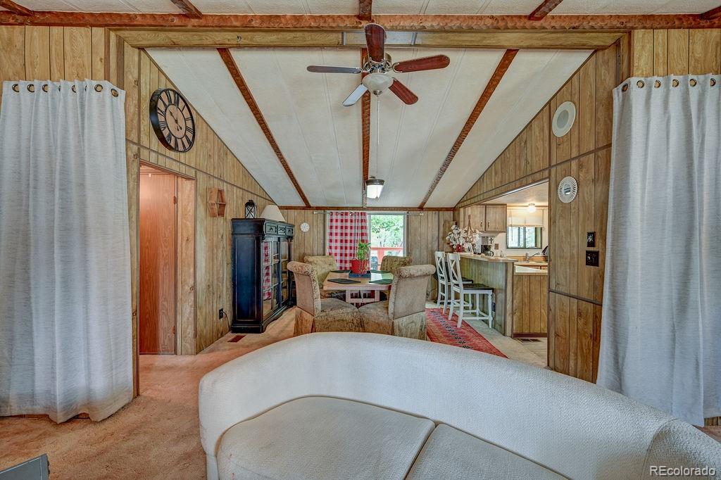MLS Image #6 for 121  brookdale ,buena vista, Colorado