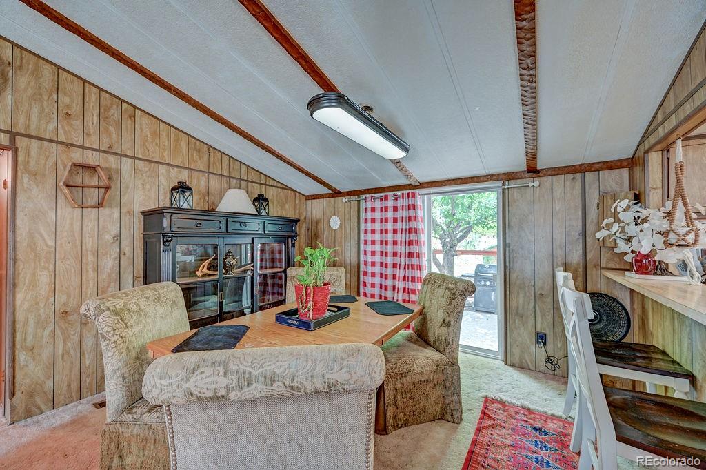 MLS Image #8 for 121  brookdale ,buena vista, Colorado