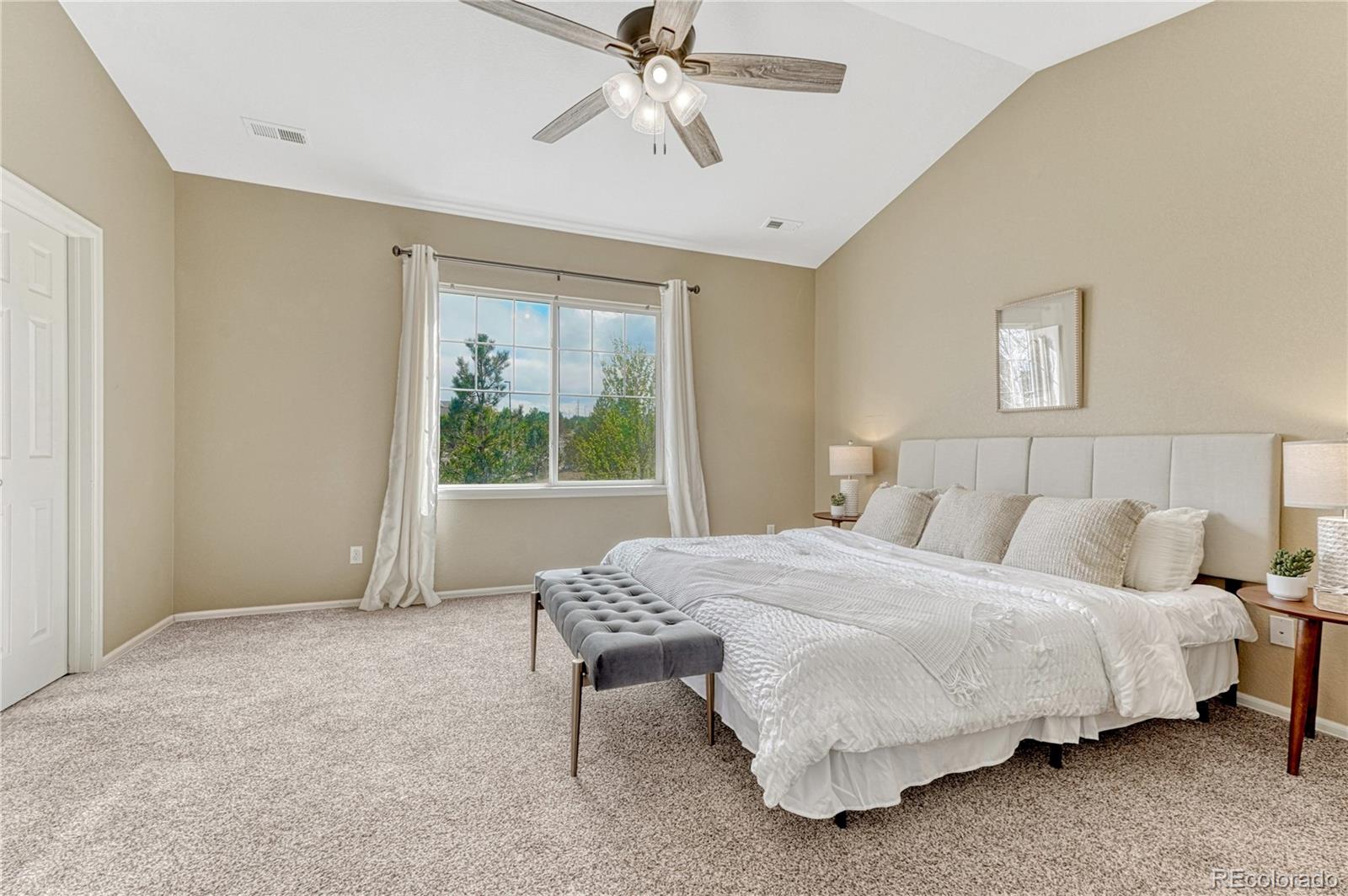MLS Image #25 for 3810  amber sun circle,castle rock, Colorado