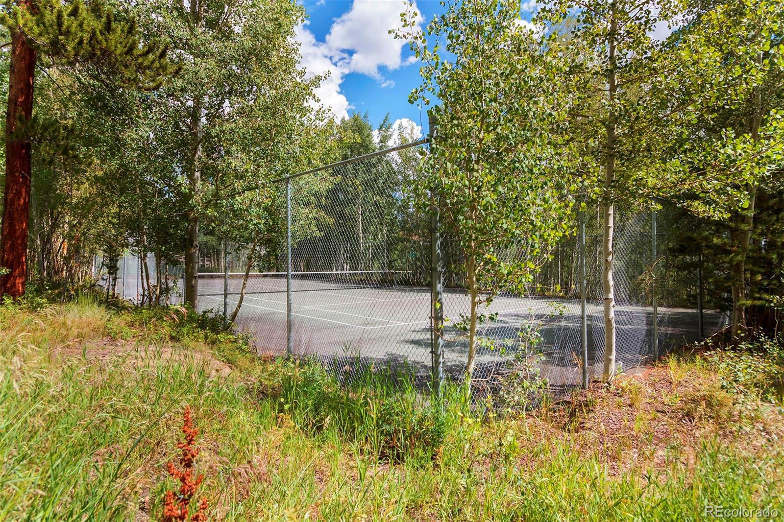 MLS Image #21 for 4200  lodge pole circle,silverthorne, Colorado