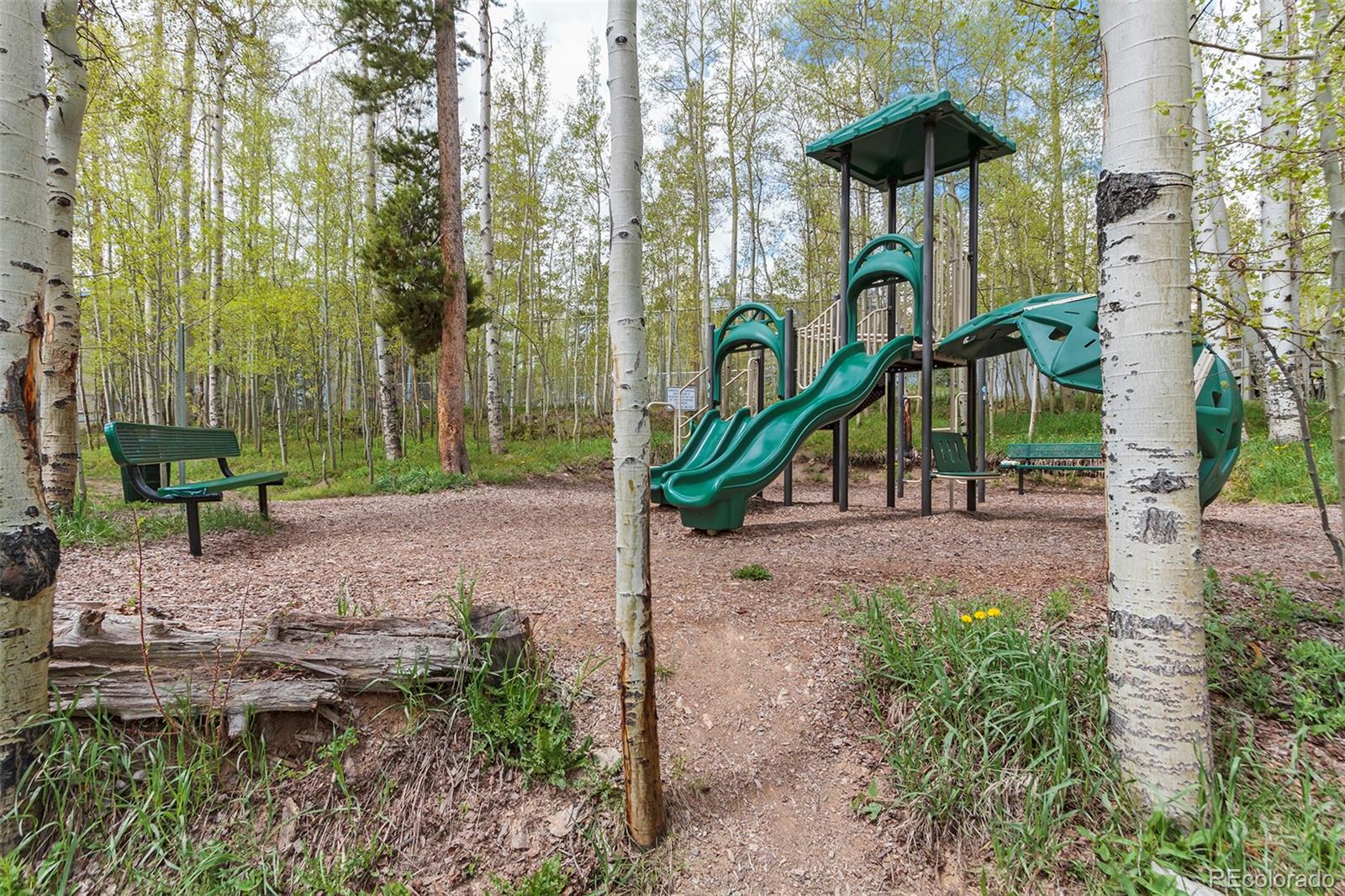 MLS Image #22 for 4200  lodge pole circle,silverthorne, Colorado