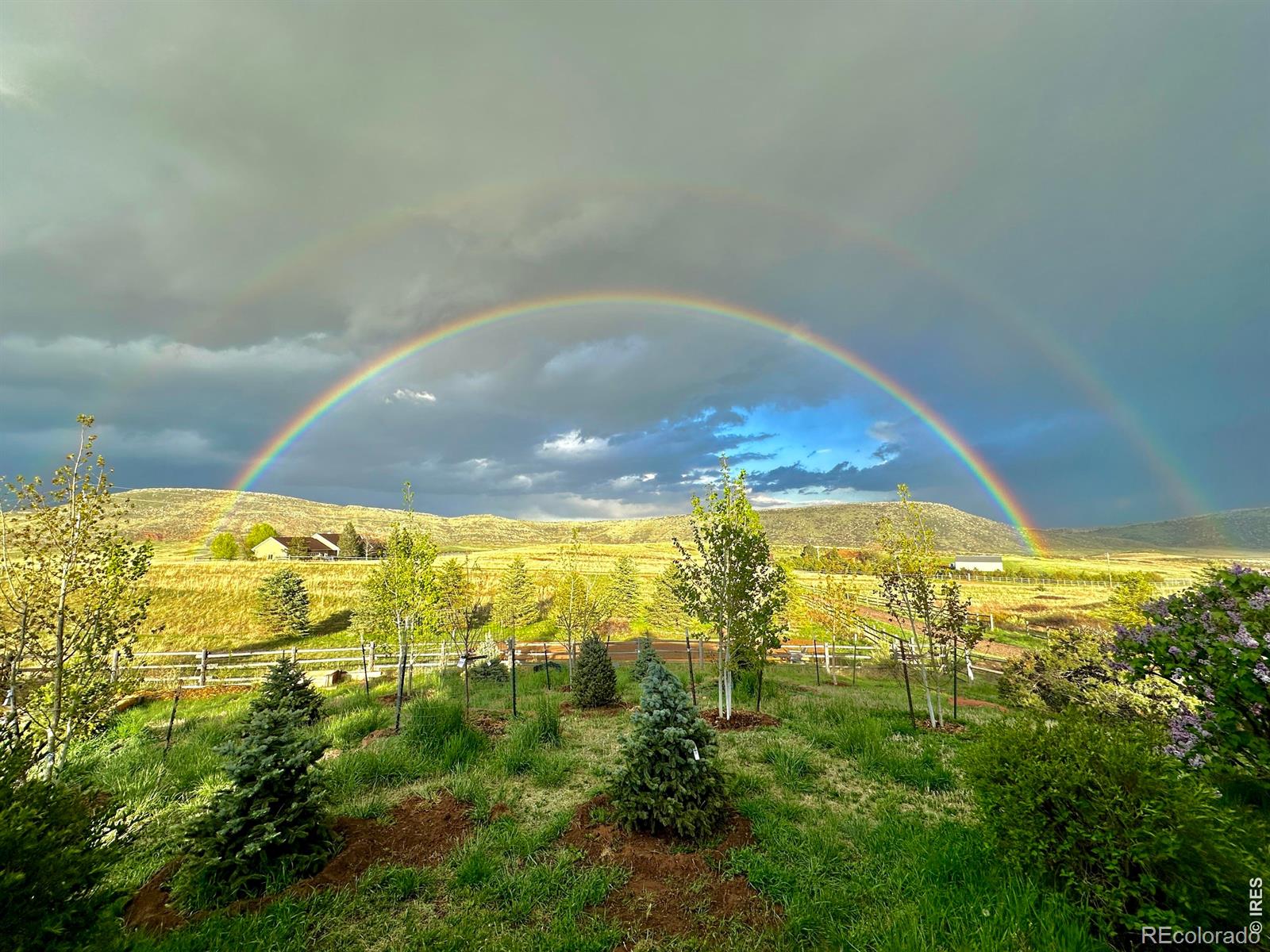 MLS Image #3 for 69  juniper ridge road,laporte, Colorado