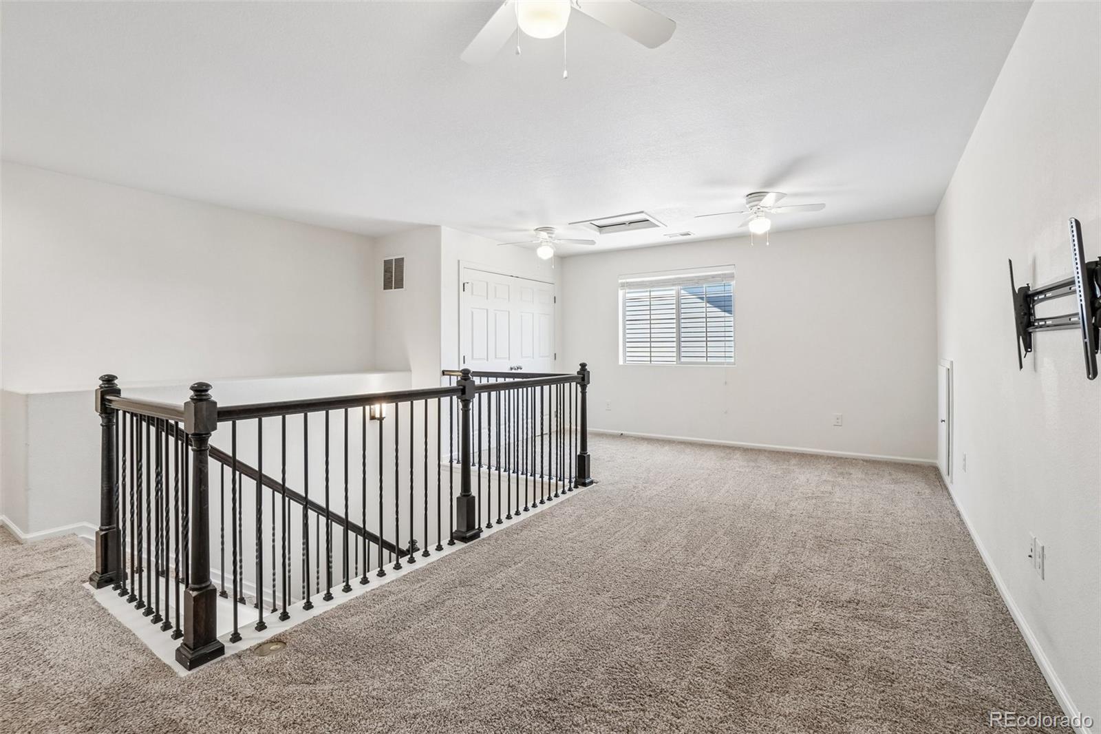 MLS Image #22 for 4466  telluride court,denver, Colorado