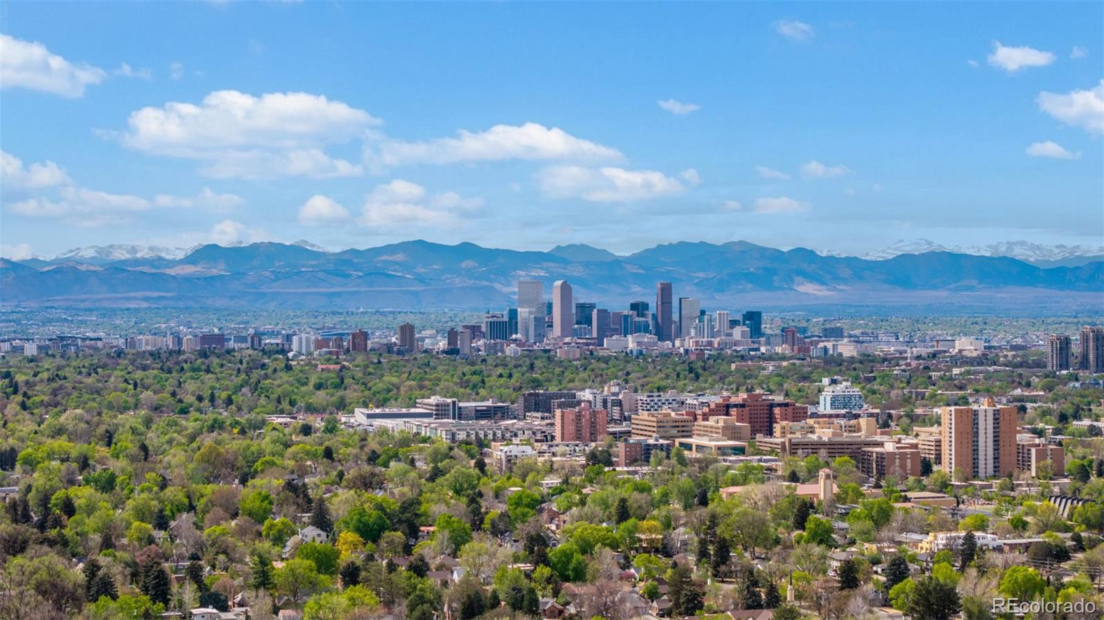 MLS Image #49 for 630 n jersey street,denver, Colorado