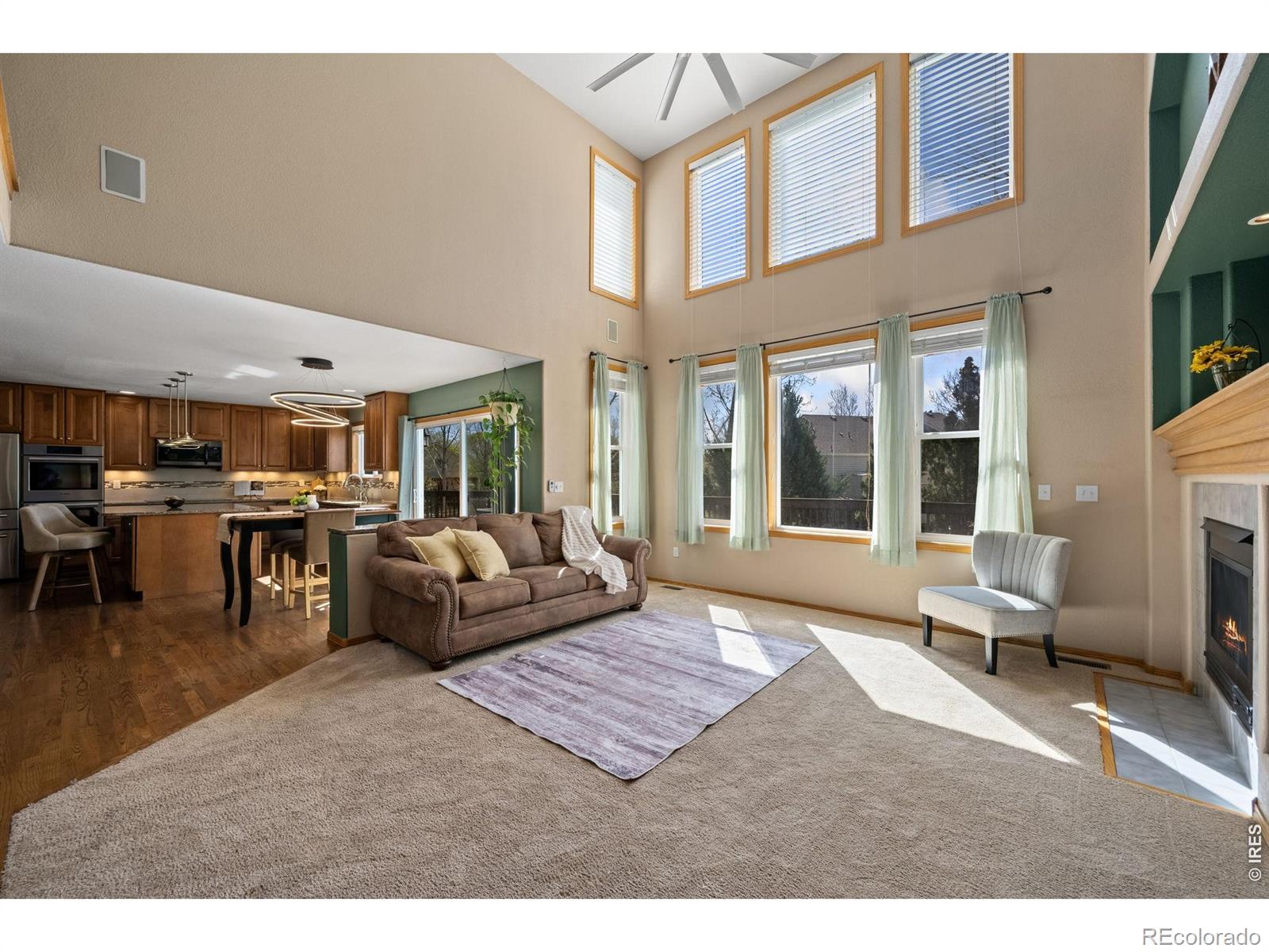 MLS Image #10 for 1410  wildrose drive,longmont, Colorado