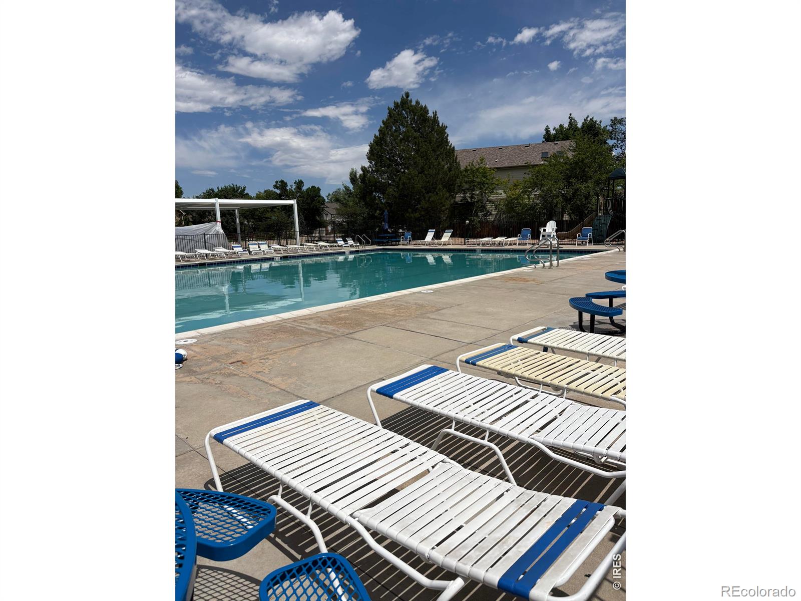 MLS Image #43 for 1410  wildrose drive,longmont, Colorado