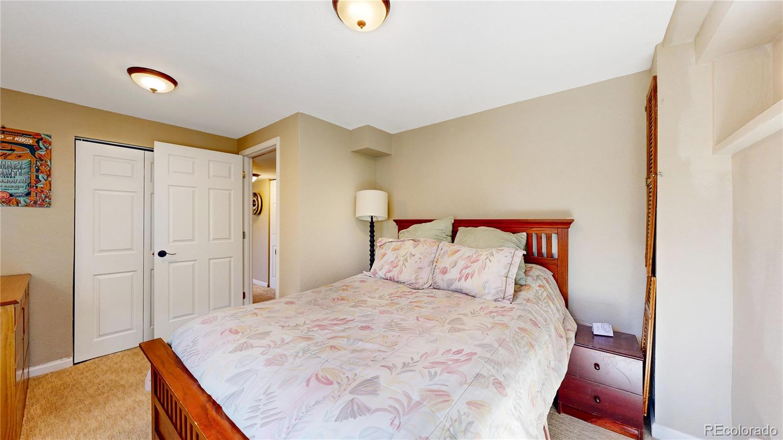 MLS Image #21 for 7540  dawn drive,littleton, Colorado