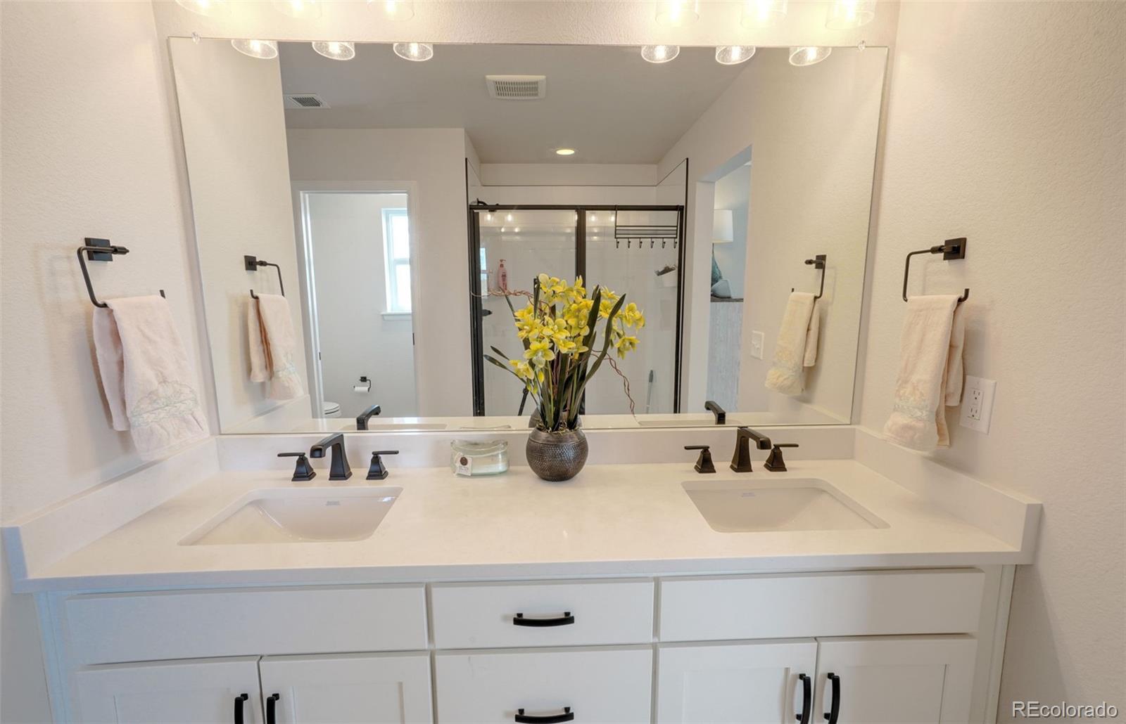 MLS Image #15 for 188 s waterloo street,aurora, Colorado
