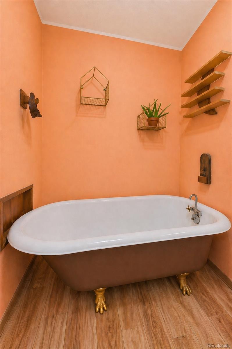 MLS Image #10 for 237  road b ,pine, Colorado