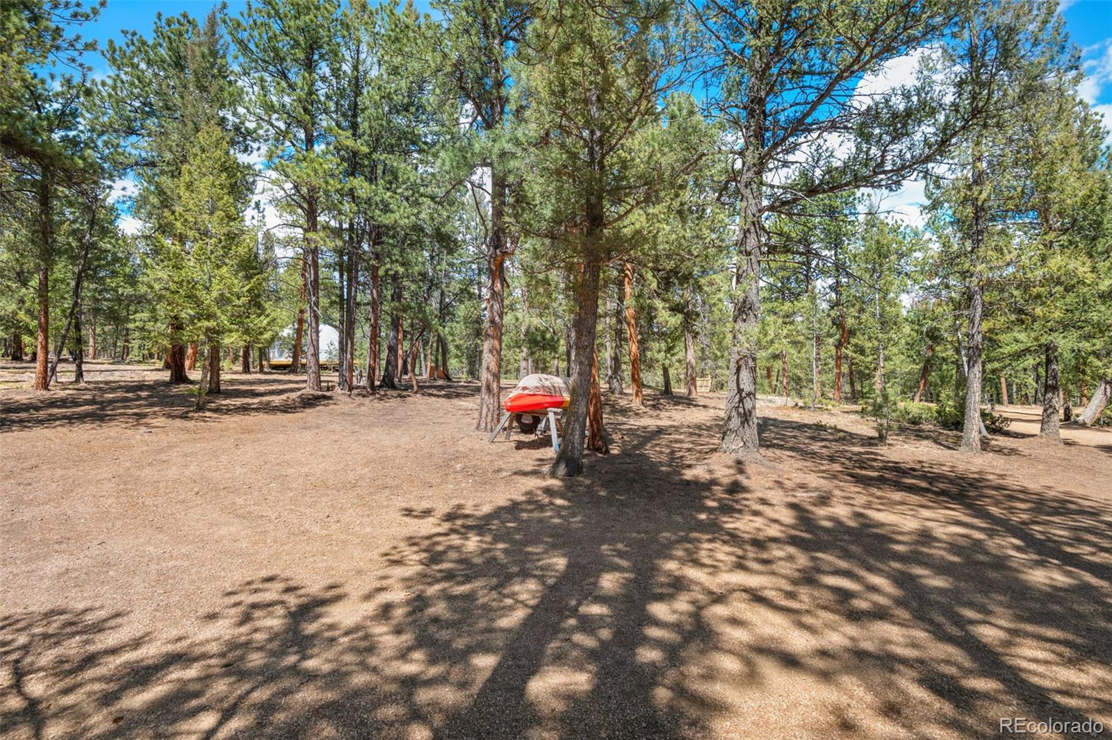 MLS Image #16 for 237  road b ,pine, Colorado