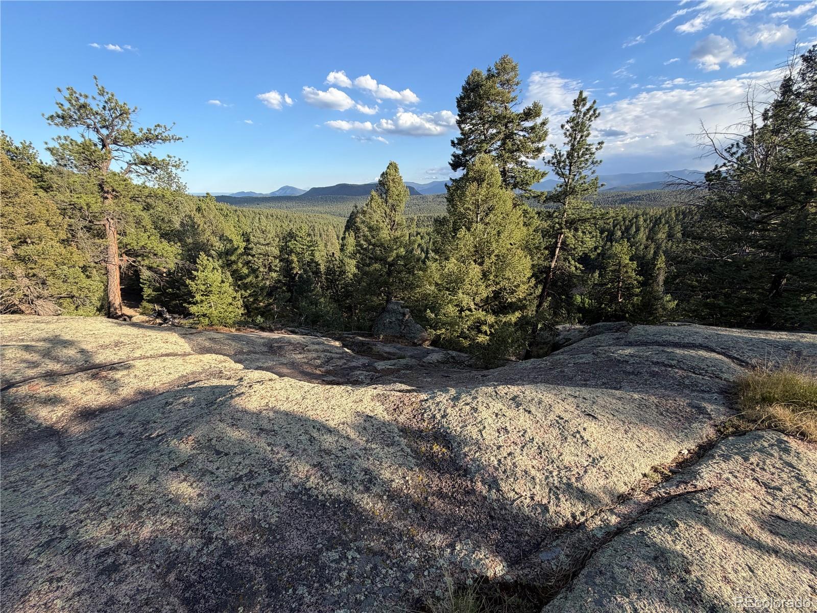 MLS Image #40 for 237  road b ,pine, Colorado