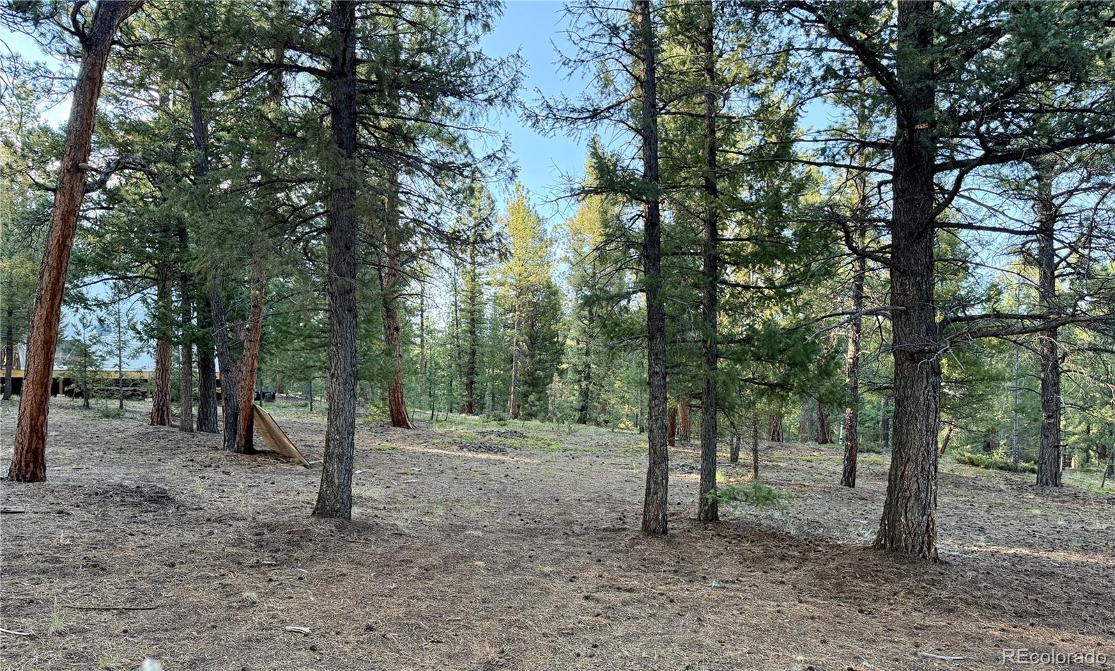 MLS Image #42 for 237  road b ,pine, Colorado