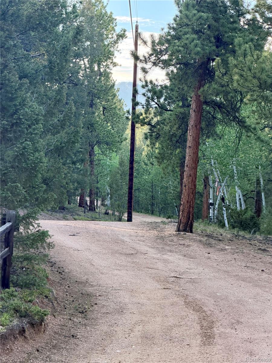 MLS Image #43 for 237  road b ,pine, Colorado