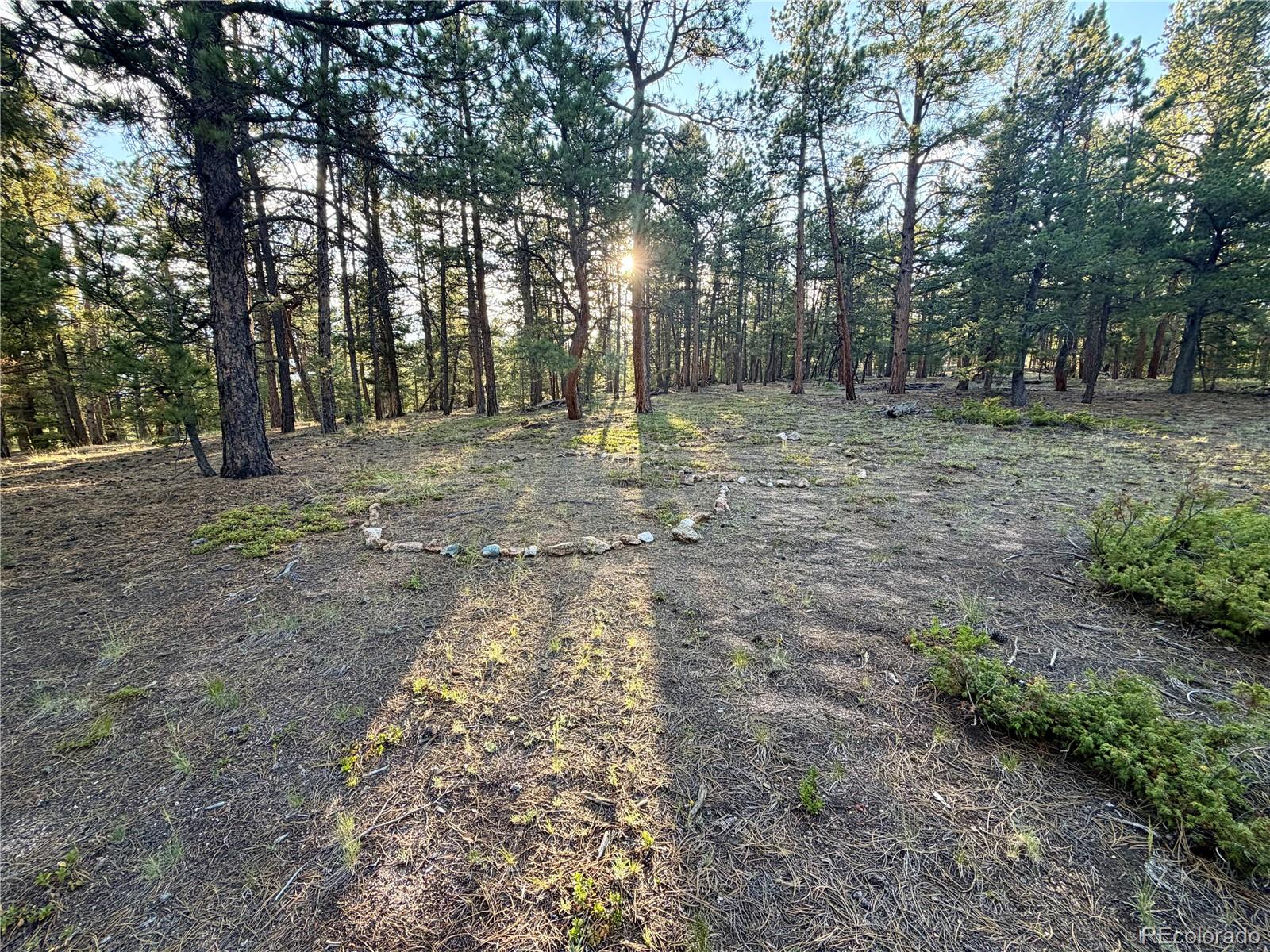 MLS Image #44 for 237  road b ,pine, Colorado
