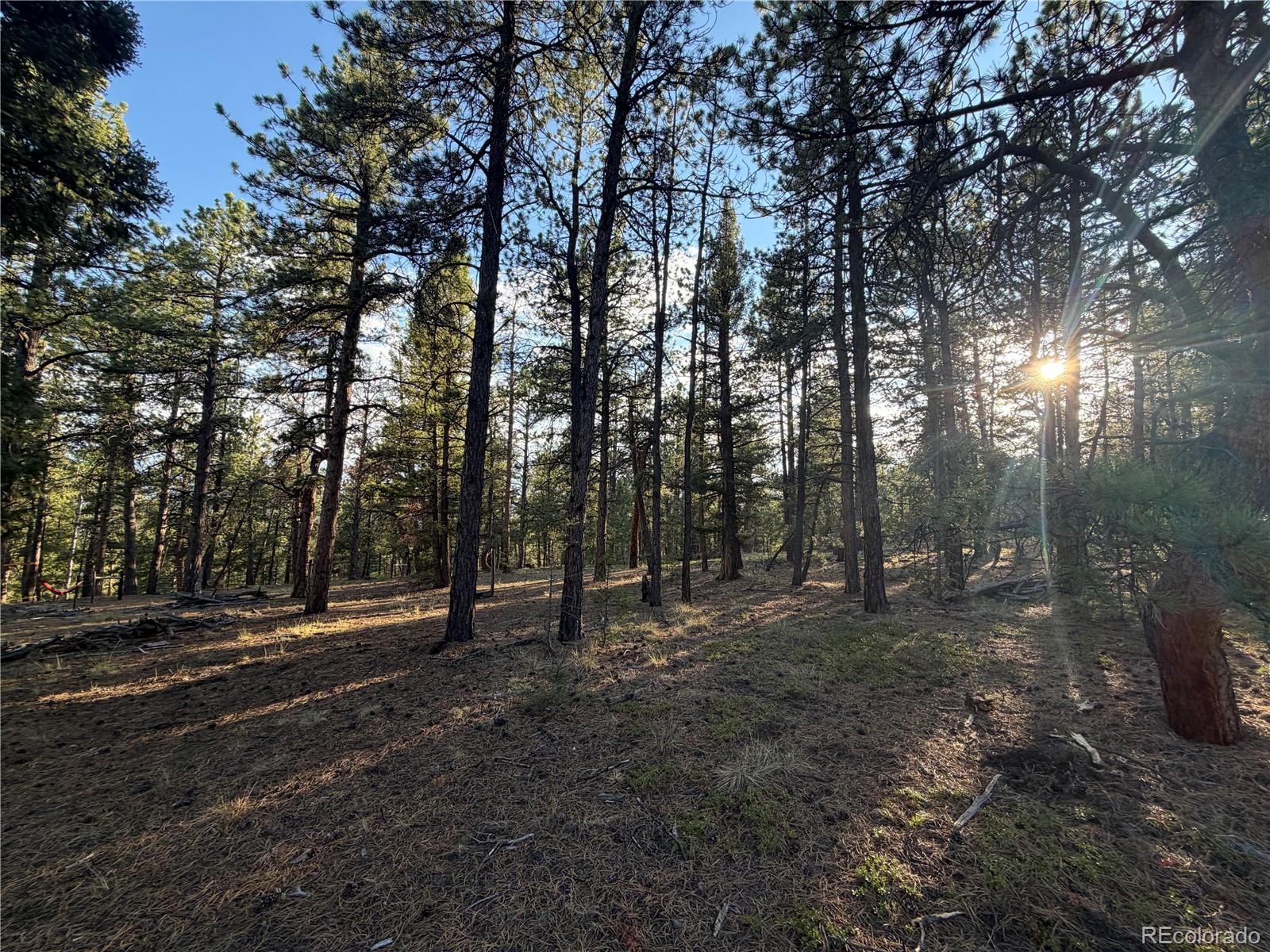 MLS Image #45 for 237  road b ,pine, Colorado