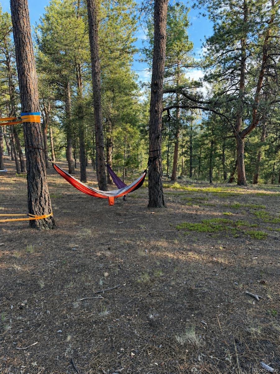 MLS Image #46 for 237  road b ,pine, Colorado