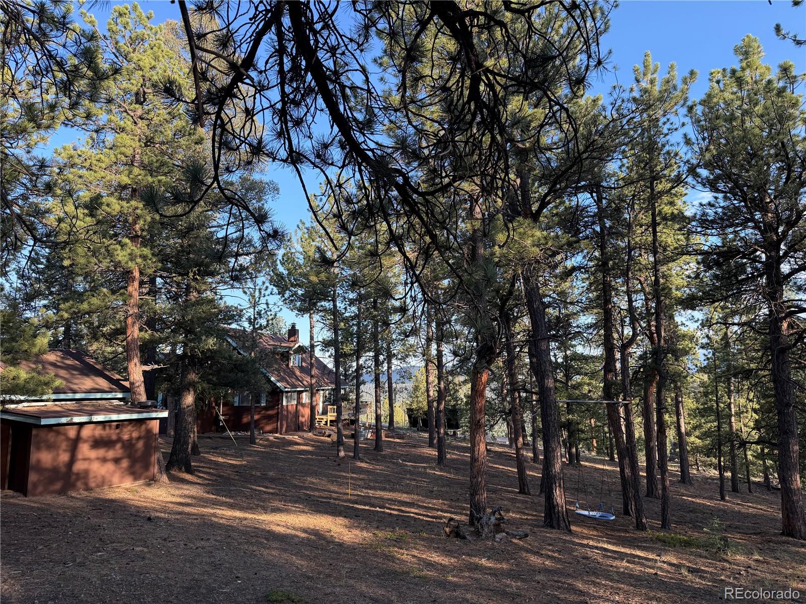 MLS Image #47 for 237  road b ,pine, Colorado