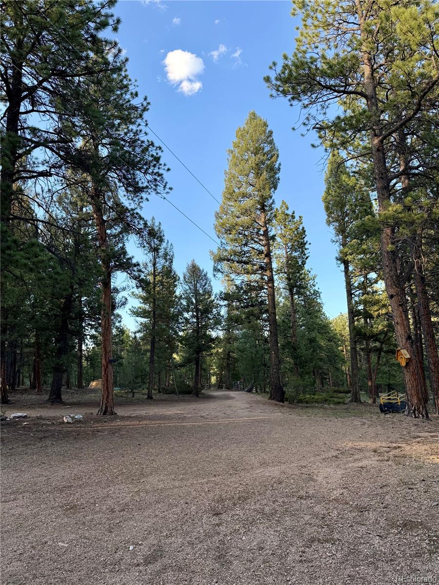 MLS Image #48 for 237  road b ,pine, Colorado