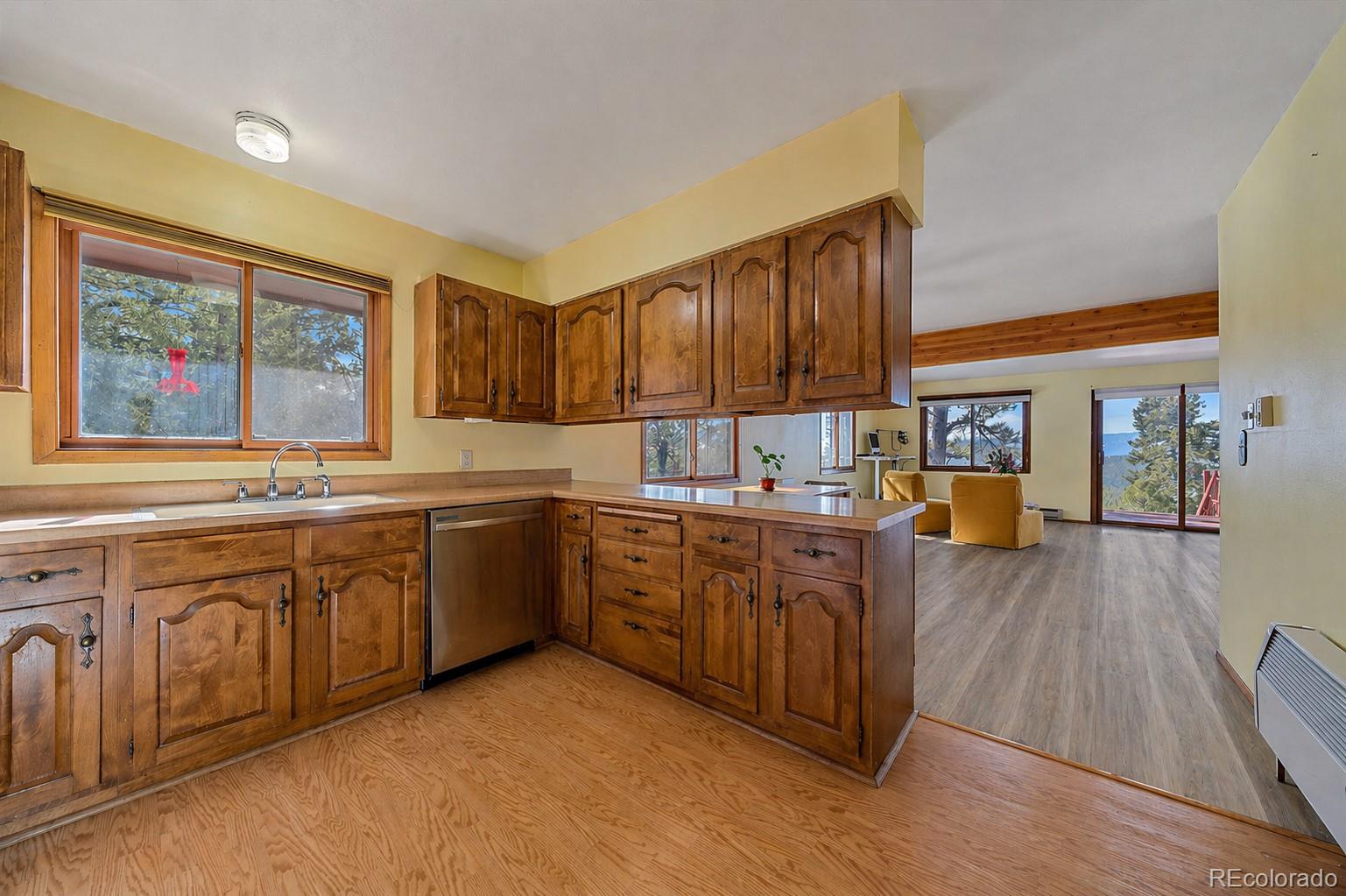 MLS Image #5 for 237  road b ,pine, Colorado