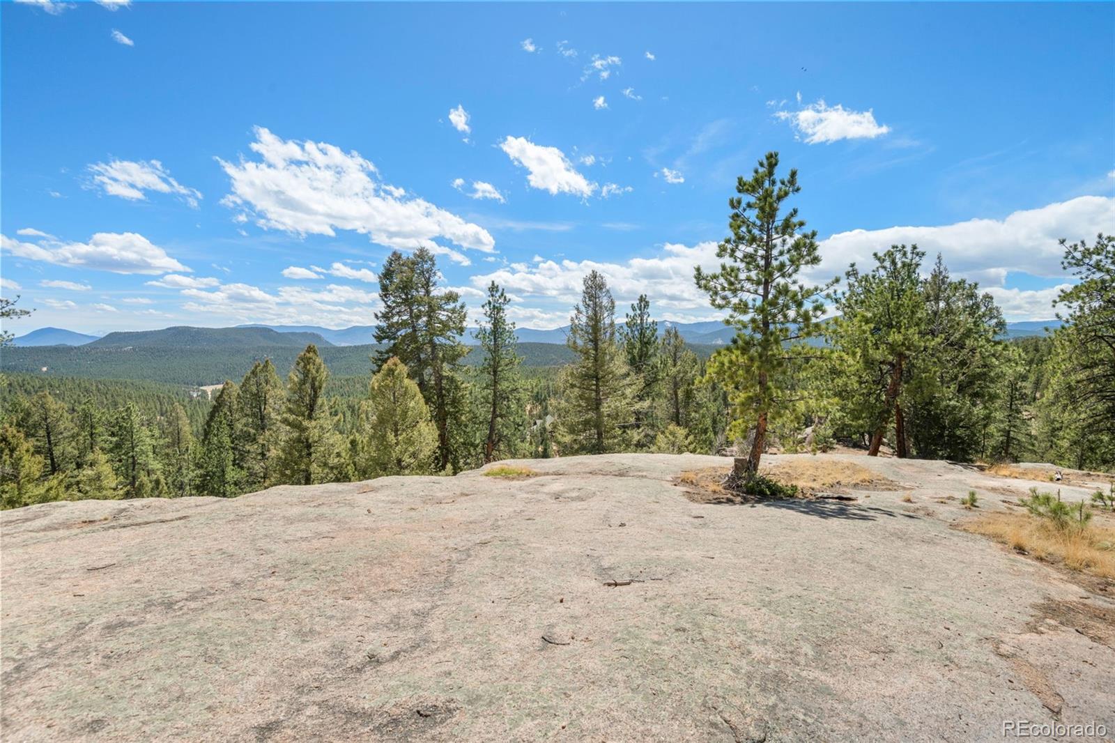 MLS Image #8 for 237  road b ,pine, Colorado