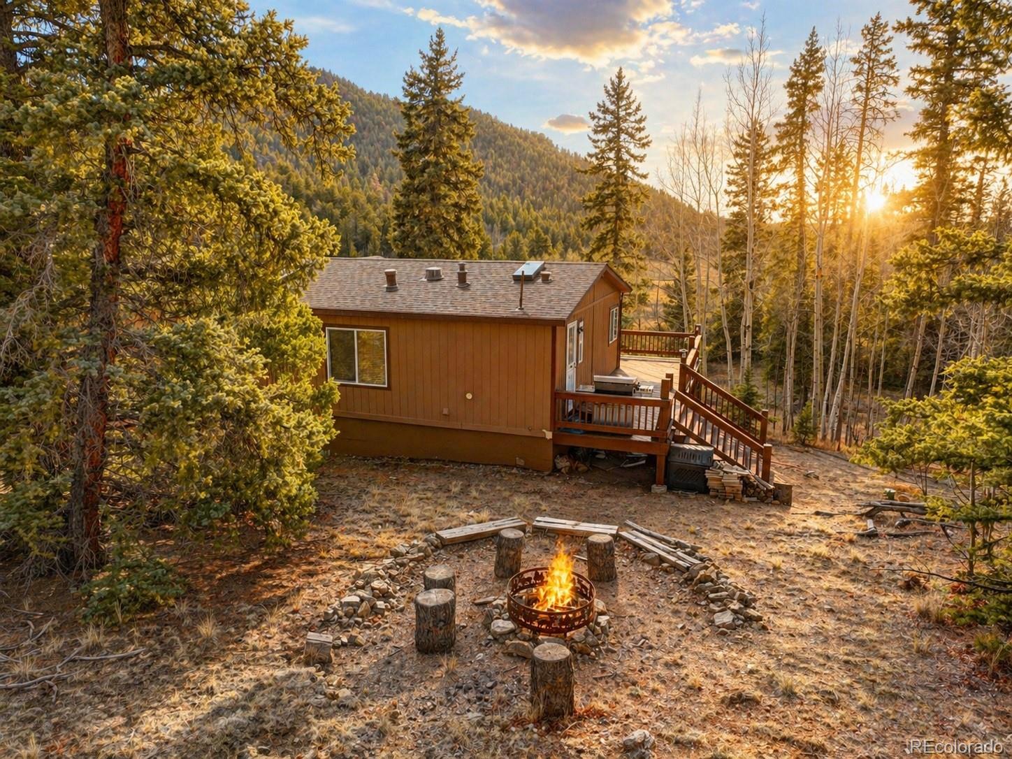 MLS Image #10 for 1479  ouray trail,como, Colorado
