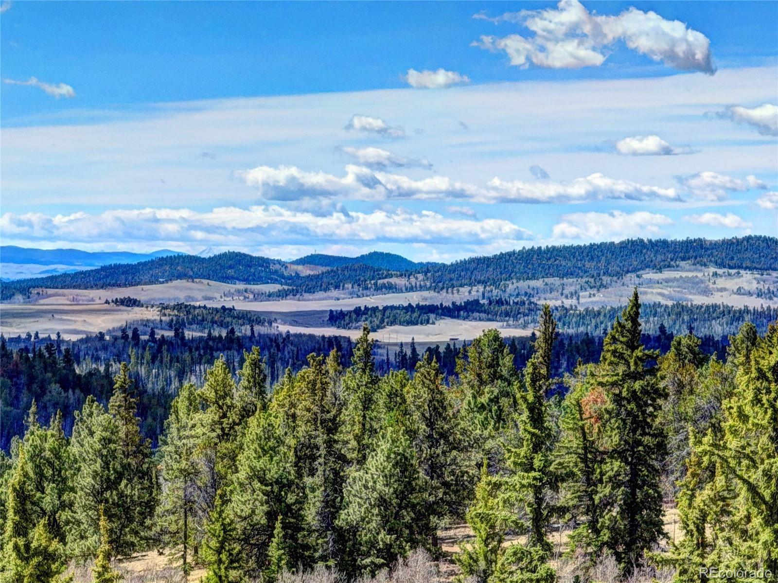 MLS Image #40 for 1479  ouray trail,como, Colorado