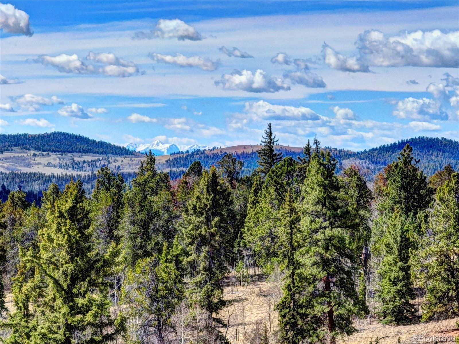 MLS Image #41 for 1479  ouray trail,como, Colorado