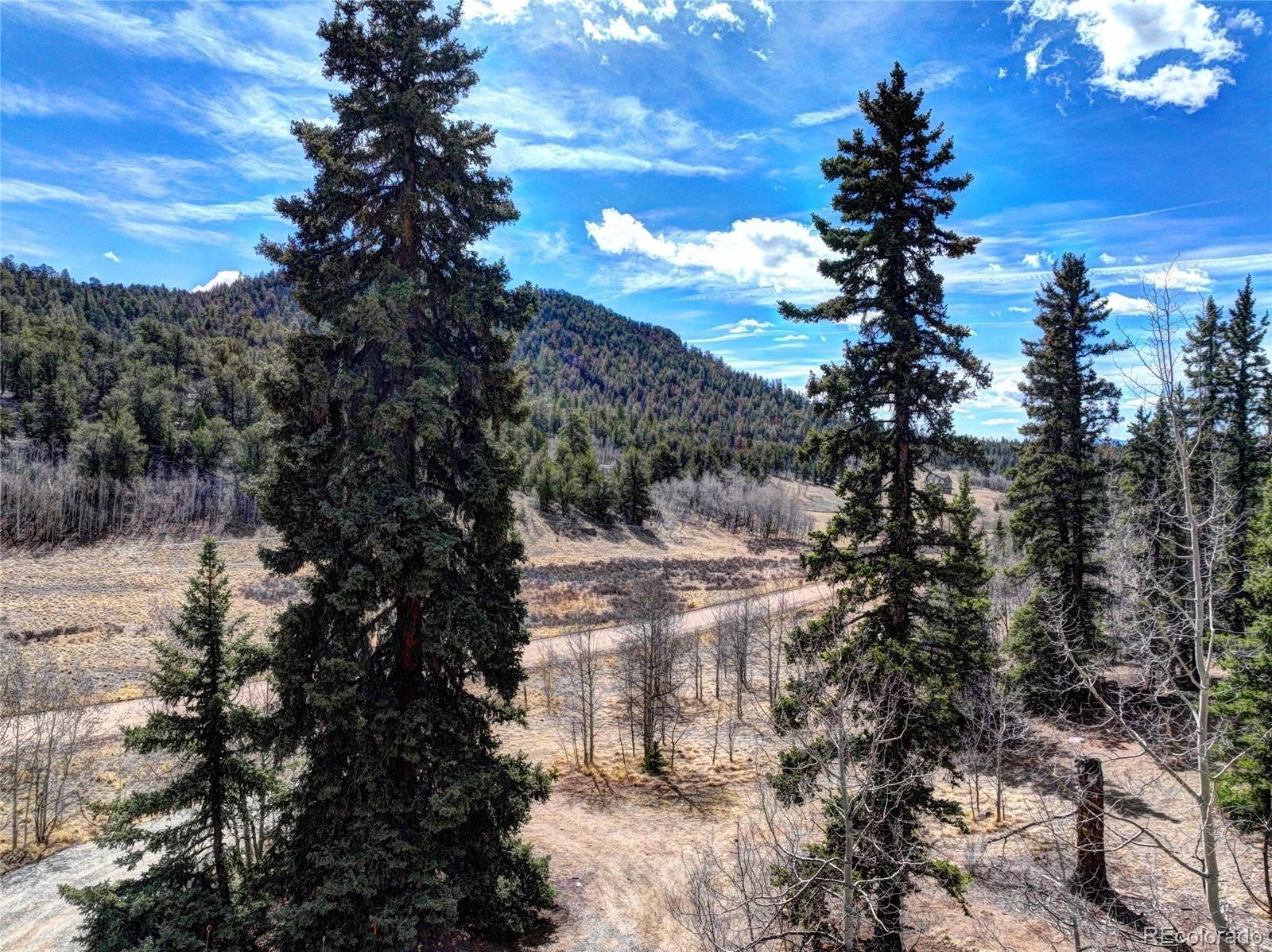 MLS Image #44 for 1479  ouray trail,como, Colorado