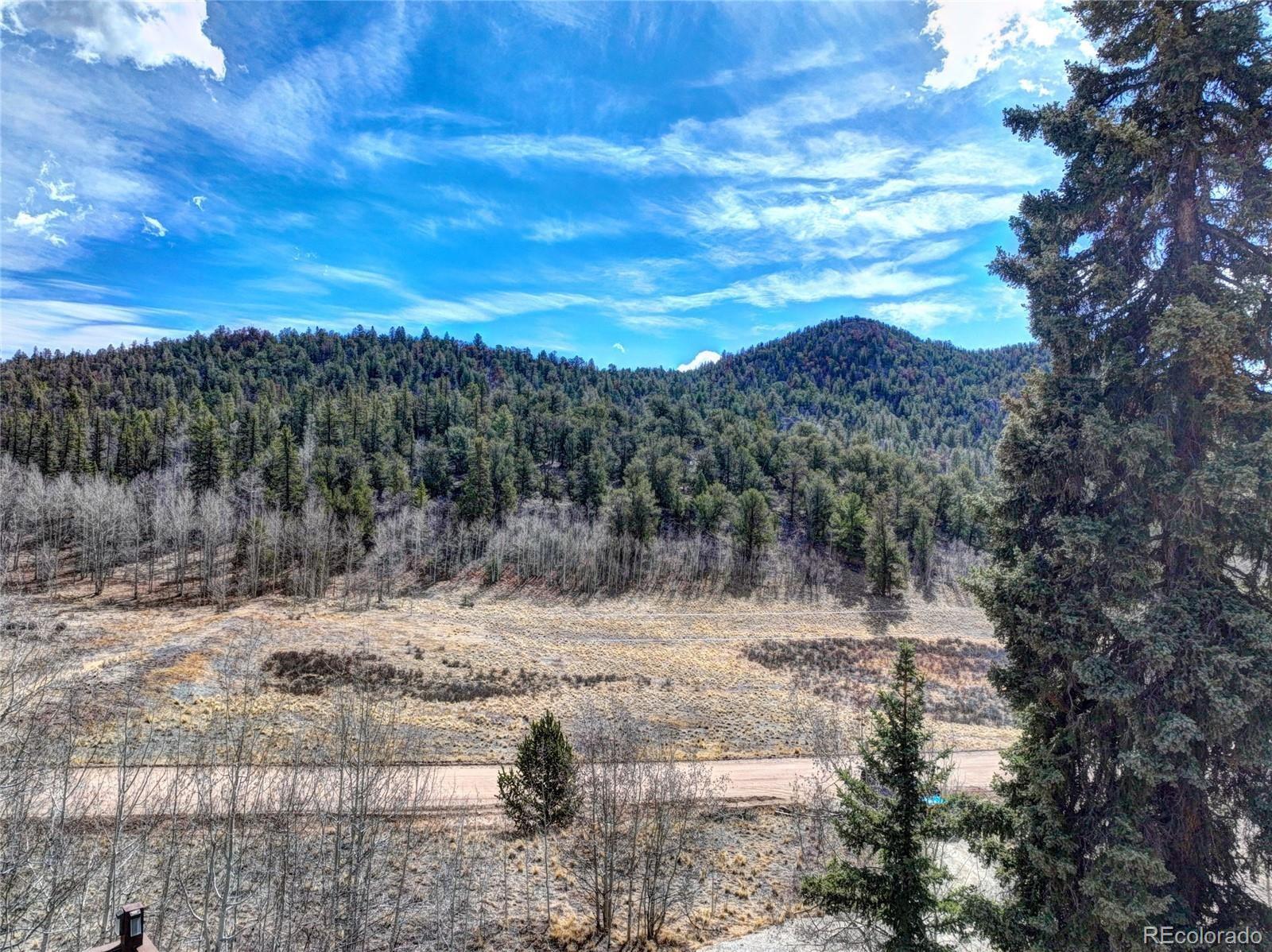 MLS Image #45 for 1479  ouray trail,como, Colorado