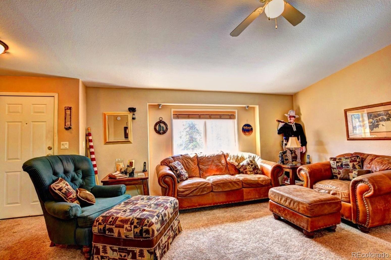 MLS Image #5 for 1479  ouray trail,como, Colorado