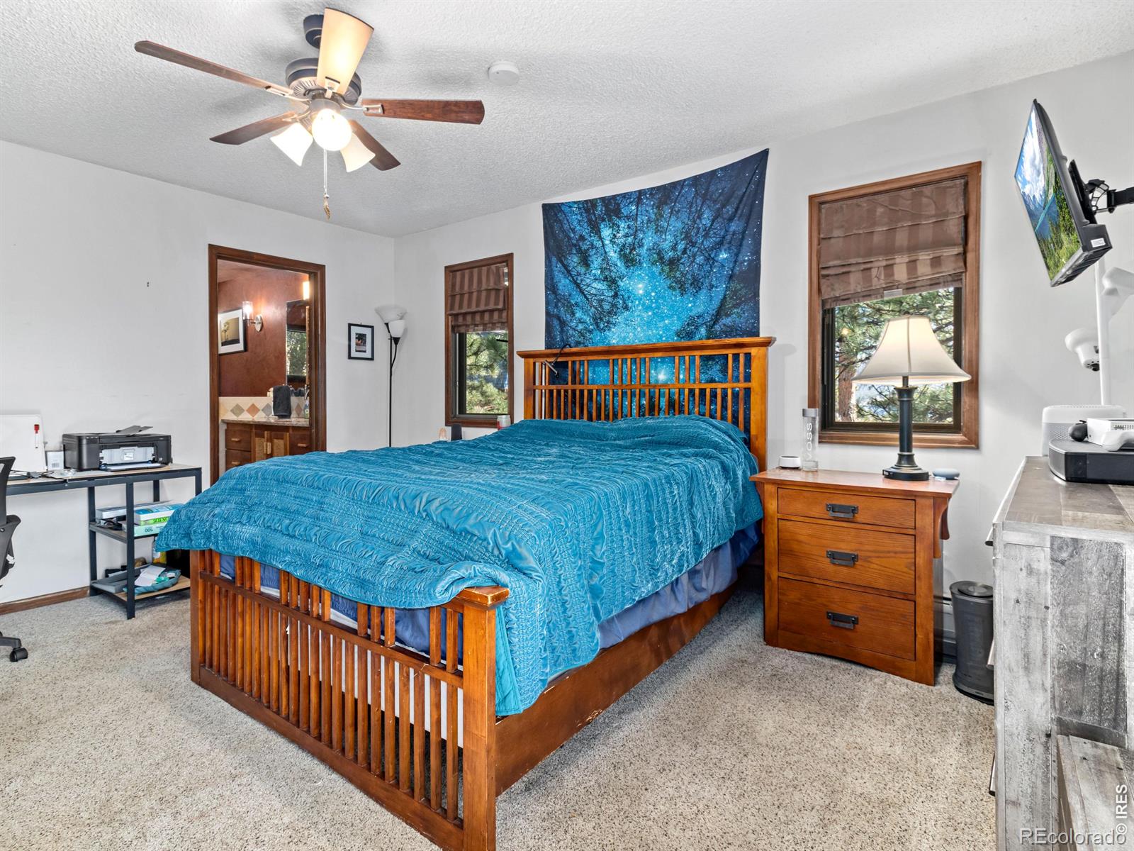 MLS Image #28 for 829  panorama circle,estes park, Colorado
