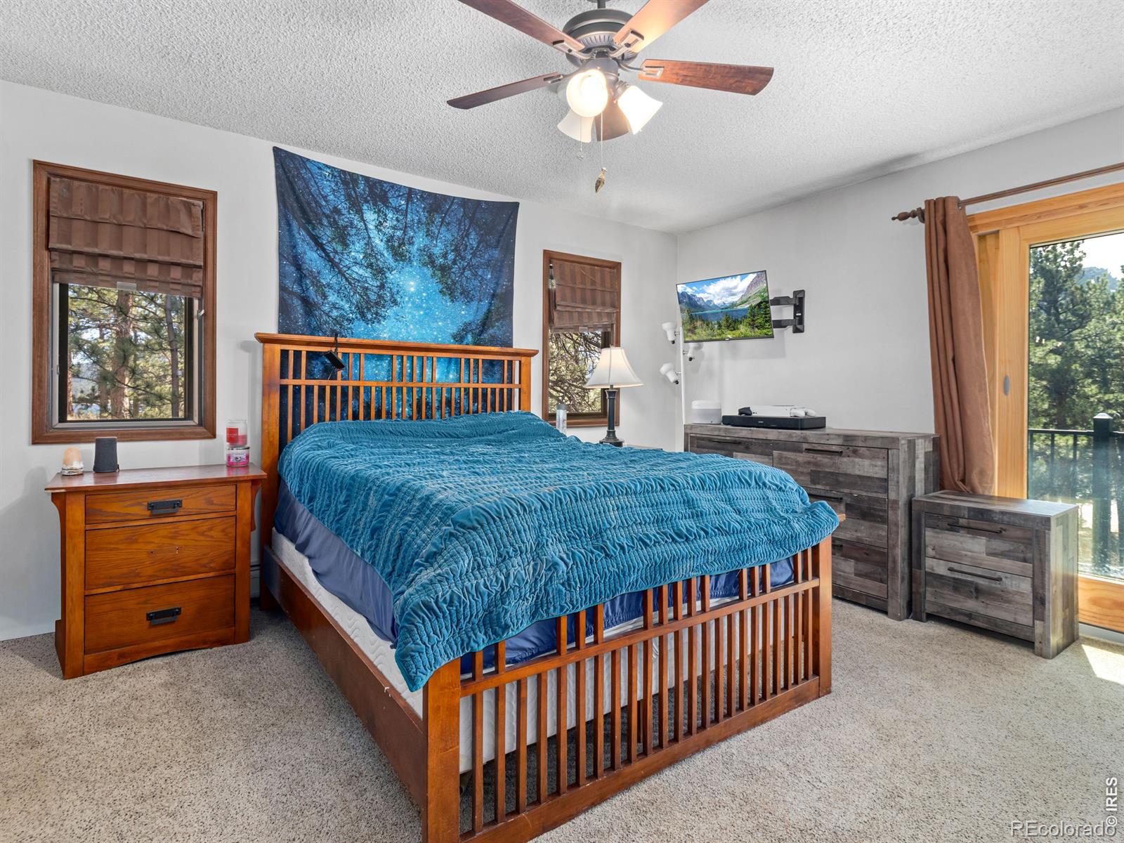 MLS Image #29 for 829  panorama circle,estes park, Colorado