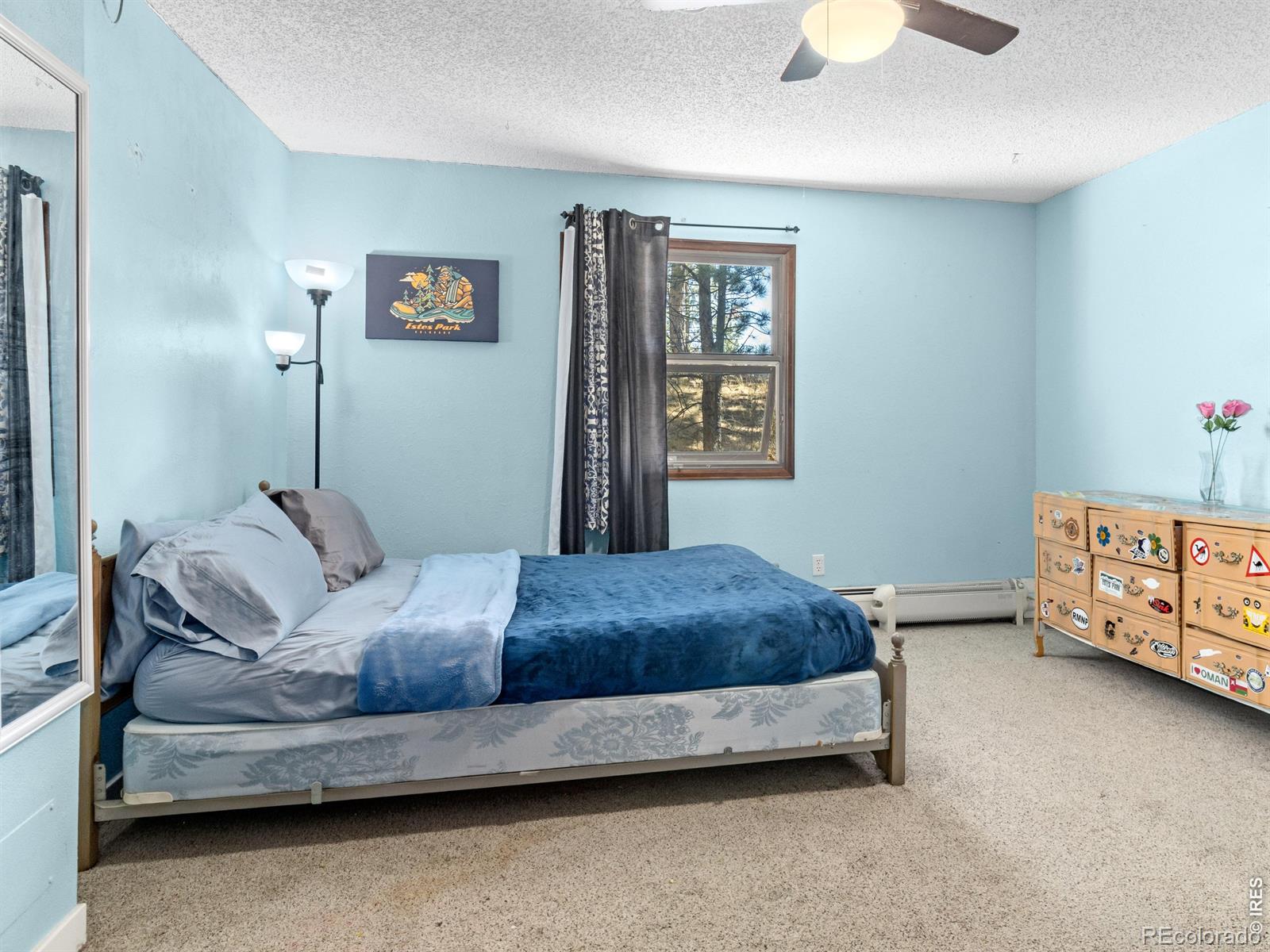 MLS Image #33 for 829  panorama circle,estes park, Colorado