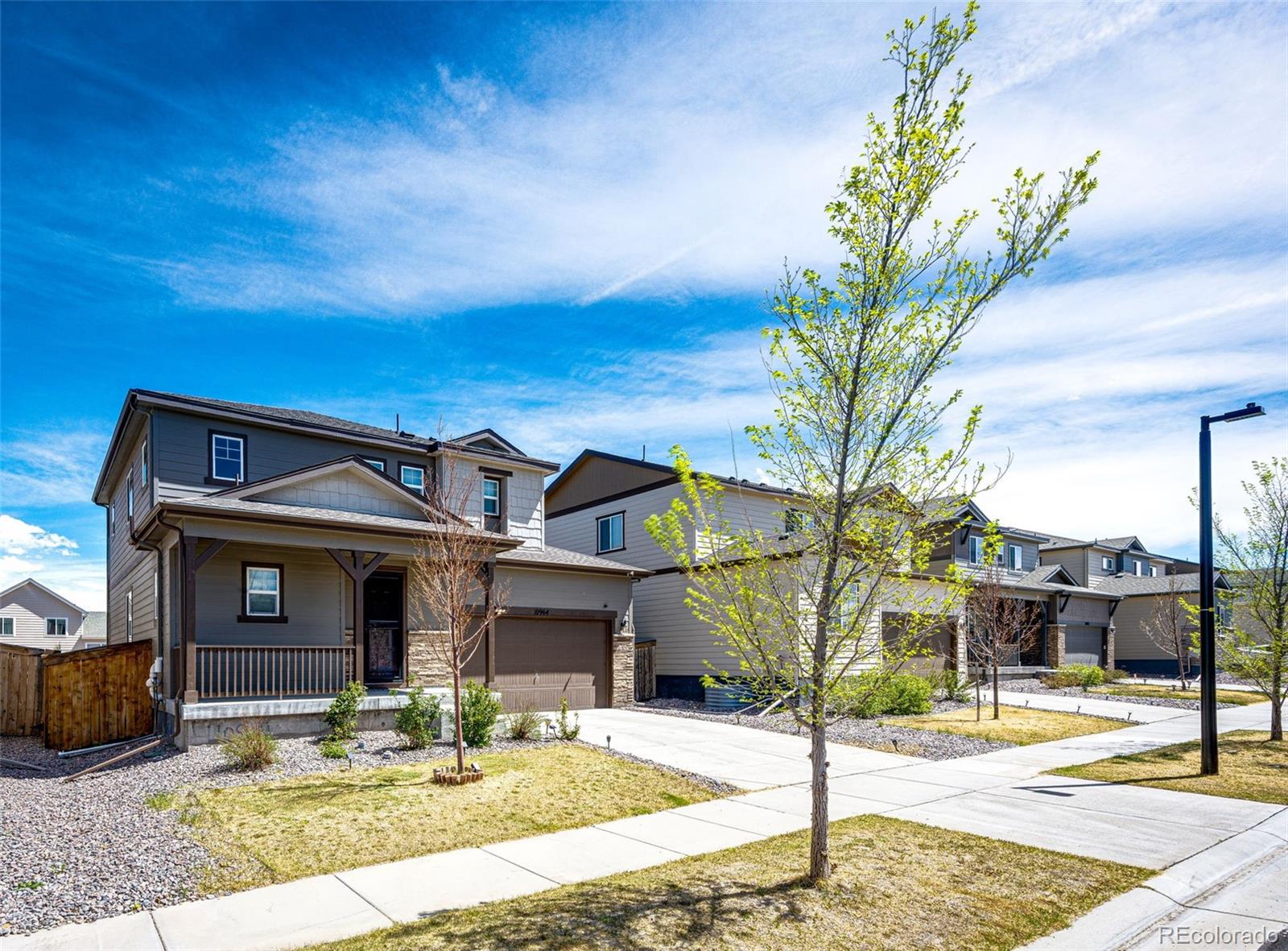 MLS Image #2 for 10964  hayloft street,parker, Colorado