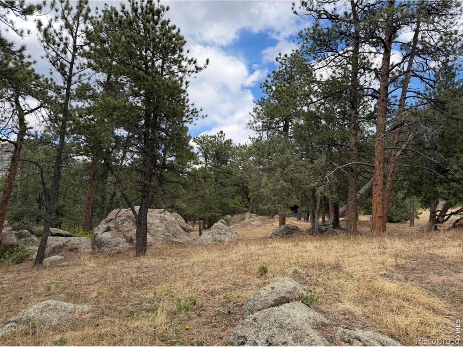 MLS Image #22 for 8  estes park estates drive,lyons, Colorado